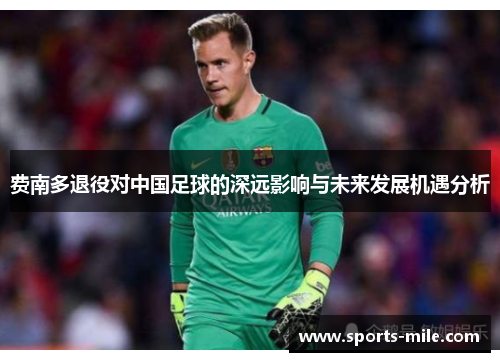 费南多退役对中国足球的深远影响与未来发展机遇分析 费南多退役对中国足球的深远影响与未来发展机遇分析