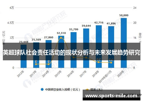 英超球队社会责任活动的现状分析与未来发展趋势研究 英超球队社会责任活动的现状分析与未来发展趋势研究